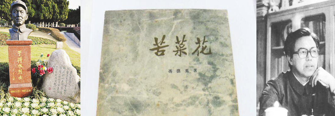 一段《苦菜花》原型的安徽往事